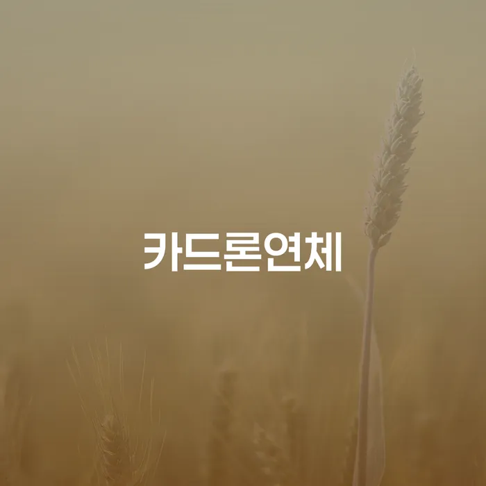 개인회생법원 개인회생으로 해결방법 해결 방법 알려드려요.