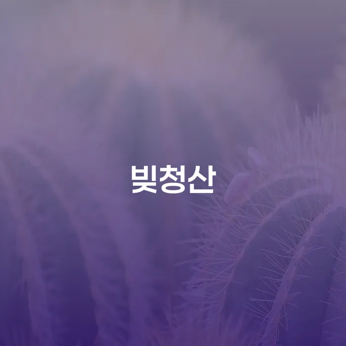 개인파산 개인파산 믿고 진행 할 수 있는