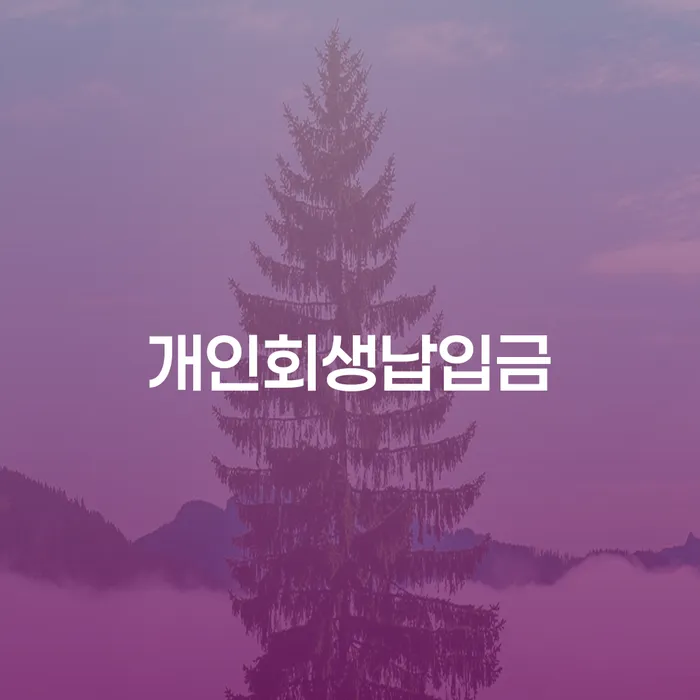 천안시 개인회생무료상담 채무조정제도을 이용하여 해결할 수 있을까?