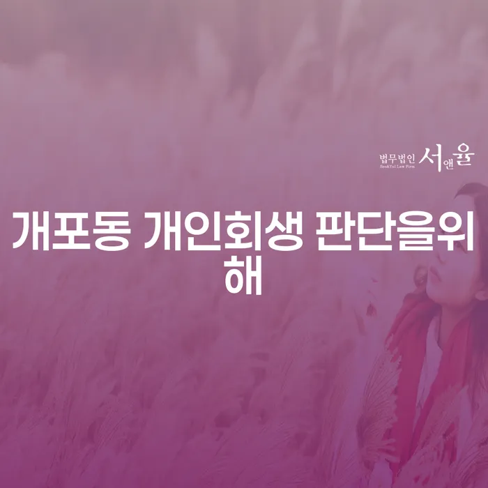 개포동 개인회생 판단을위해
