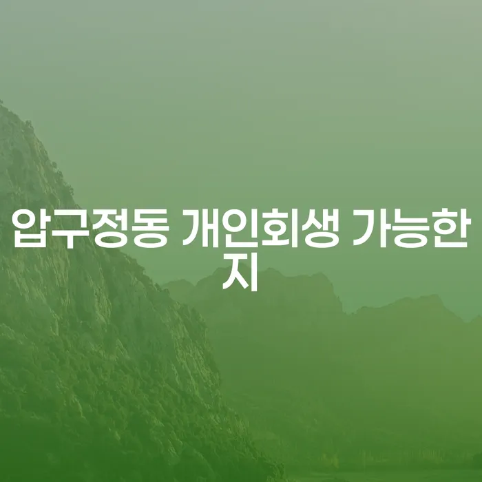 압구정동 개인회생 가능한지