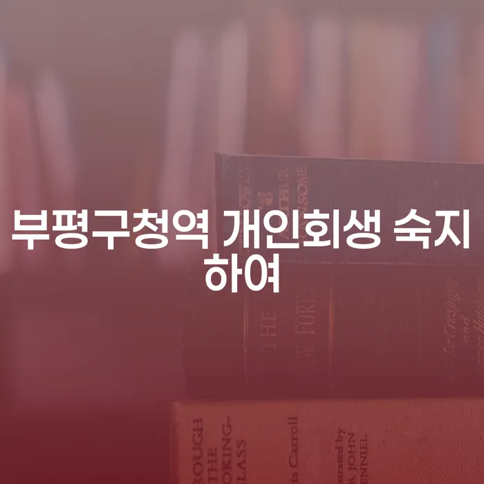 부평구청역 개인회생 숙지하여