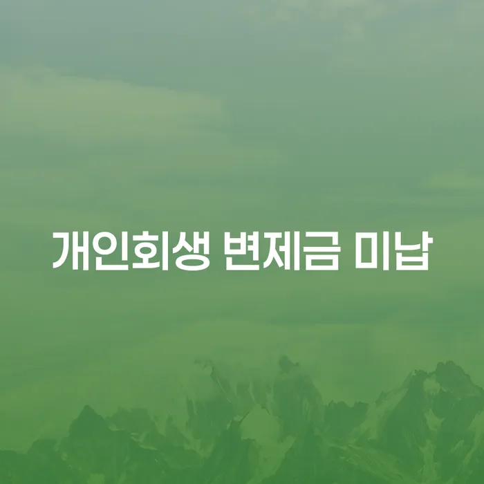 개인회생 변제금 미납 문제를 해결하려면 어떻게 해야 할까요?
