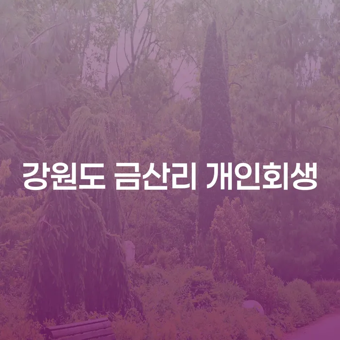 강원도 금산리에서 개인회생 신청, 이제는 선택이 아닌 필수인가요?