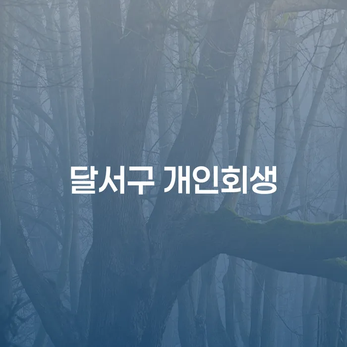 개인회생과 개인파산, 더 이상 고민하지 마세요: 달서구 개인회생과 부산진구 개인회생법무법인 이용하기