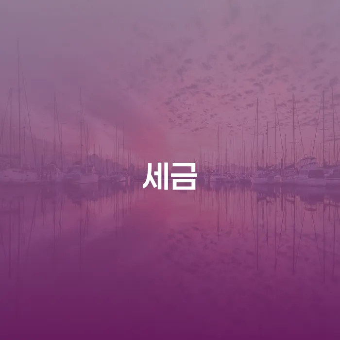 세금 문제로 인한 개인회생 신청, 어떻게 확인할 수 있을까요?