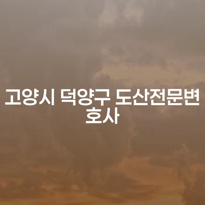 고양시 덕양구 도산전문변호사와 동해시 개인회생사무소, 어디서 어떻게 도움 받을까?