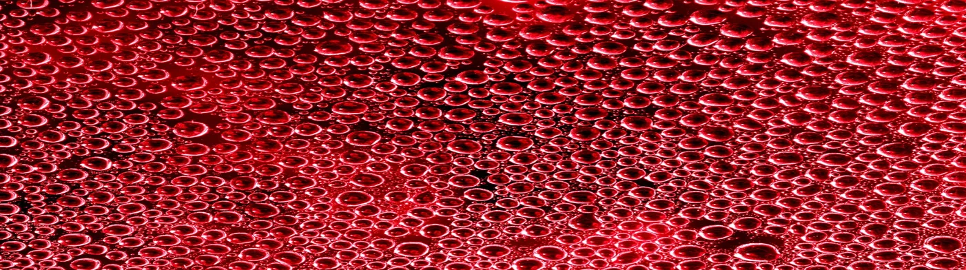 법무법인 서앤율